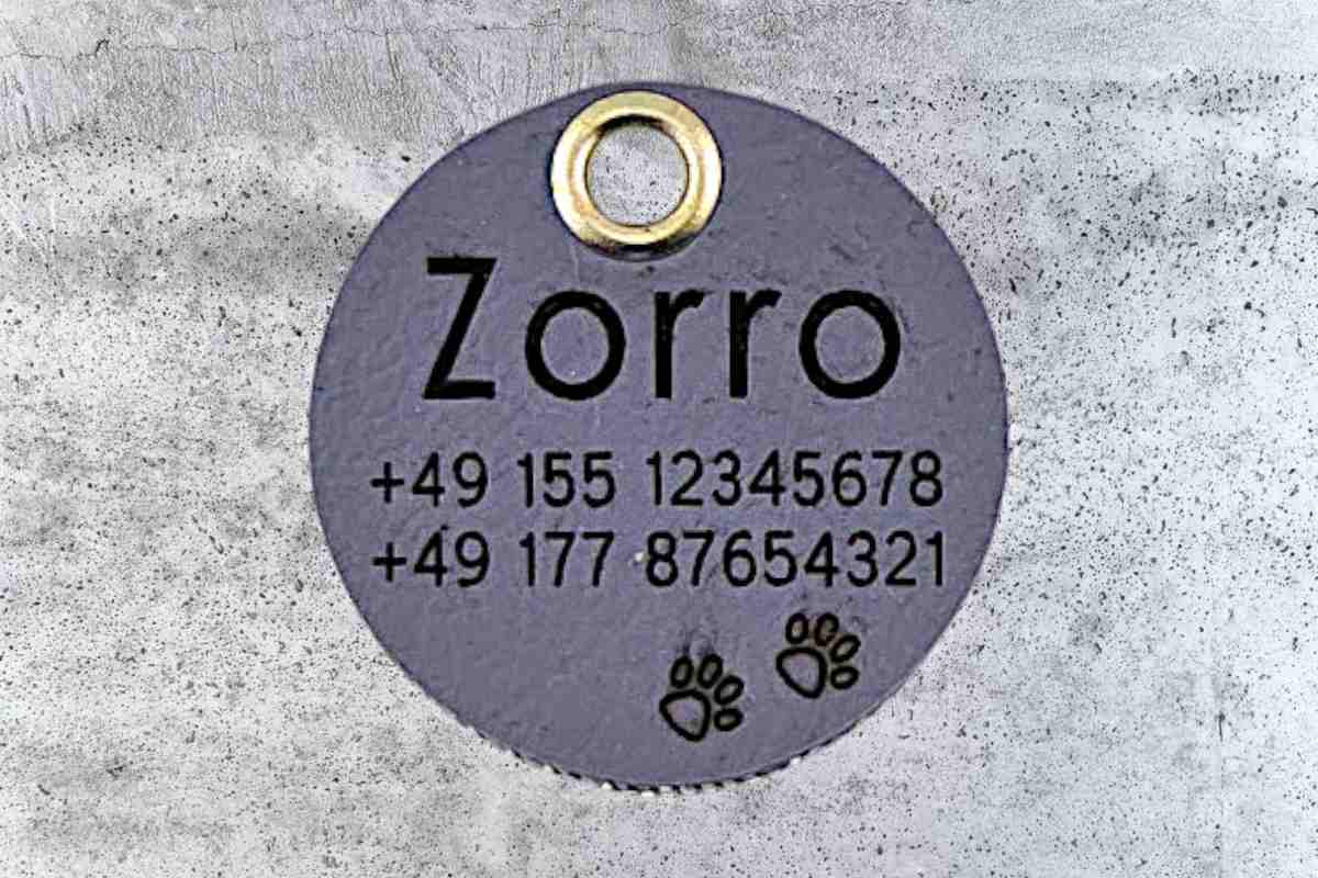 Hundemarke Biothane 36 mm grau