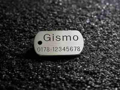 Hundemarke Edelstahl Dogtag, 30 mm, beidseitig