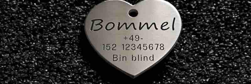 Hundemarke Edelstahl Herz, 40 mm, beidseitig