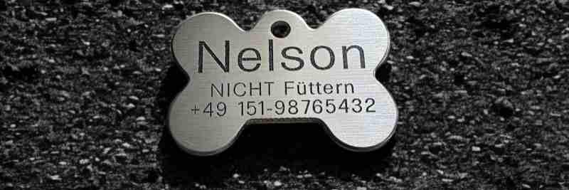 Hundemarke Edelstahl Knochen 44 mm, beidseitig