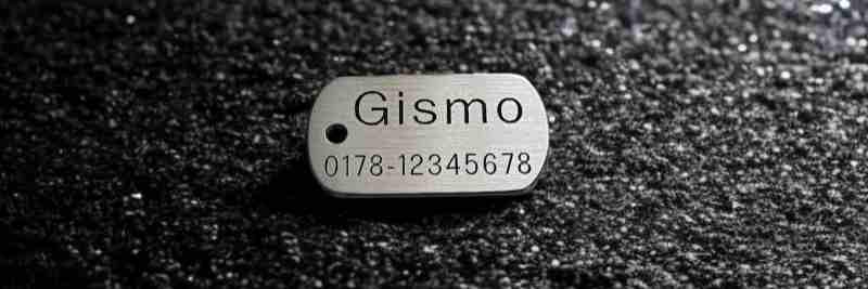 Hundemarke Edelstahl Dogtag, 30 mm, einseitig