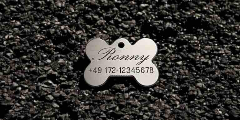 Hundemarke Edelstahl Knochen 33 mm, einseitig
