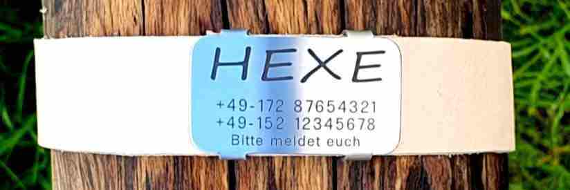 Edelstahl-Plakette für Lederhalsbänder mit Breite 28-31 mm, 19,00 €.