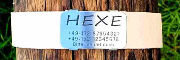 Edelstahl-Plakette für Lederhalsbänder mit Breite 28-31 mm, 19,00 €.