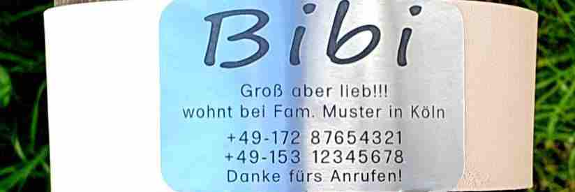 Edelstahl-Plakette für Lederhalsbänder mit Breite 48-51 mm, 22,50 €.