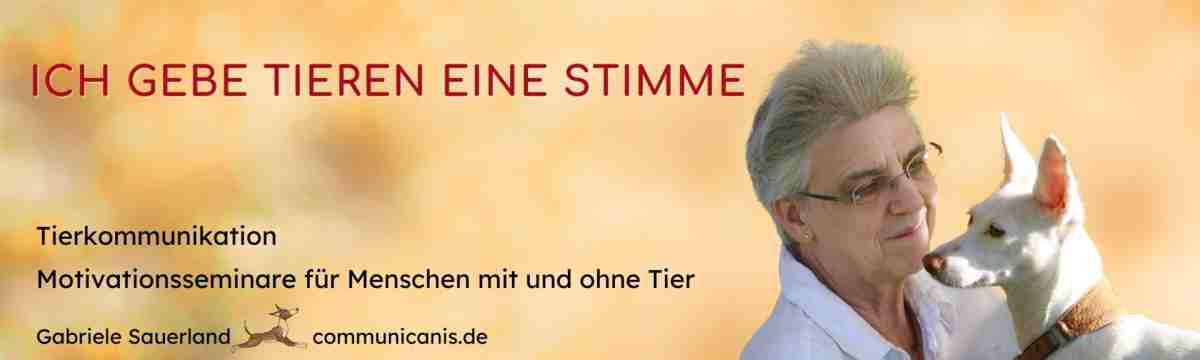 communicanis - Tiere verstehen lernen