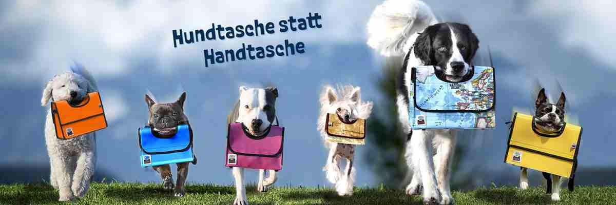 Link zu ERNL
