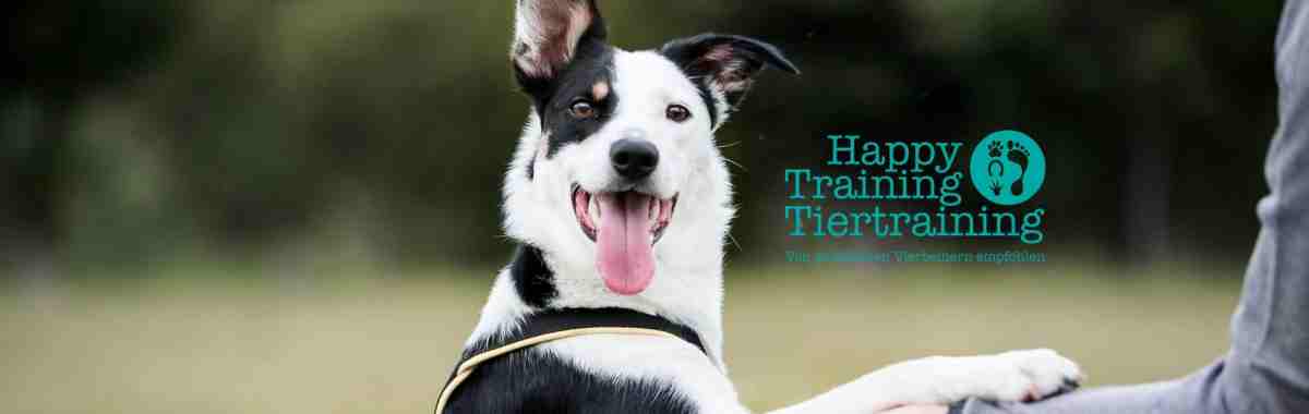 HappytrainingAT2