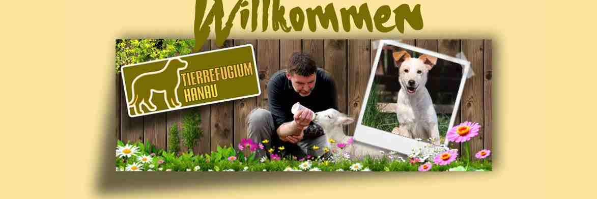 Tierrefugium