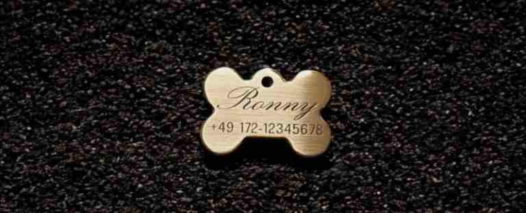 Hundemarke Messing Knochen, 33 mm, einseitig