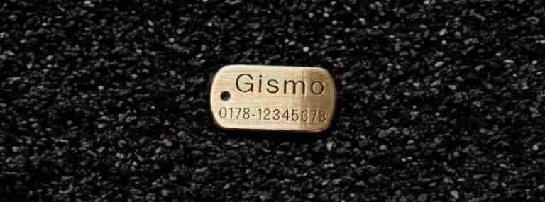 Hundemarke Messing Dogtag, 30 mm, beidseitig