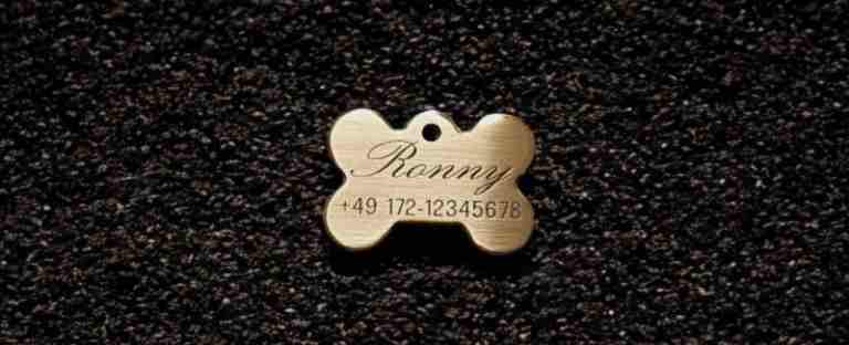 Hundemarke Messing Knochen, 33 mm, beidseitig