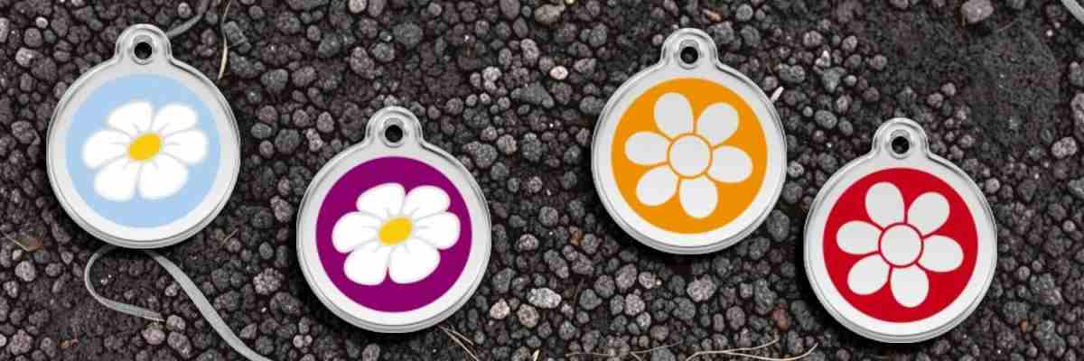 RedDingo M - auf Lager - Blumen, 15,00